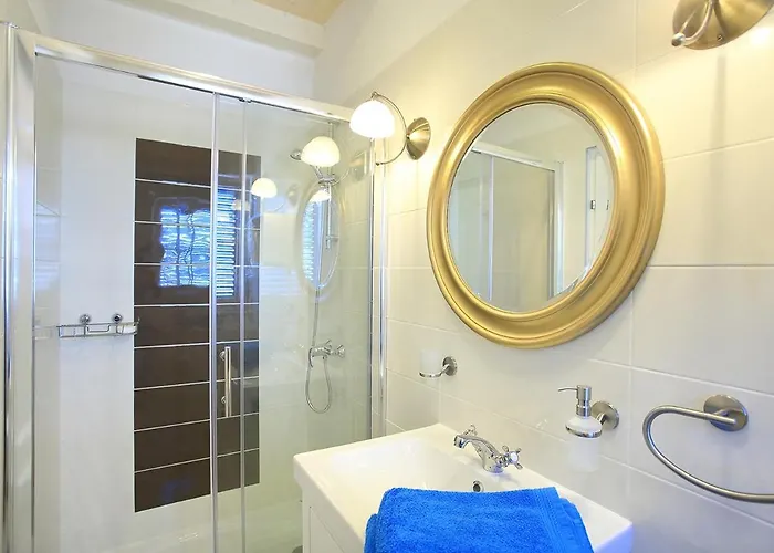 Antisin فيلة بريكو